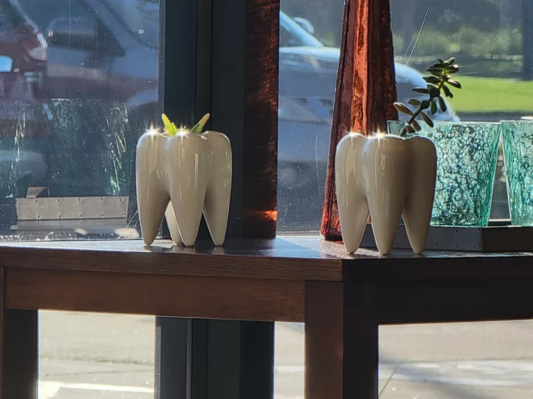 cr smiles office 18